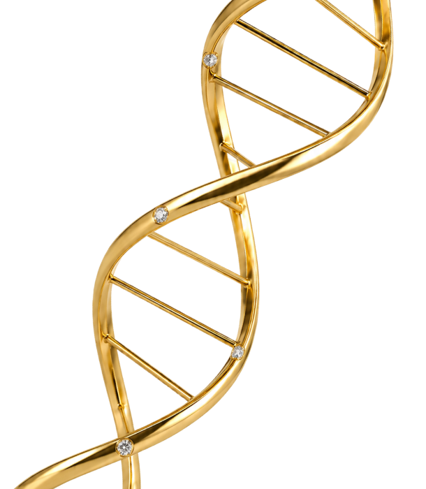 DNA'sı Miras, İfadesi Modern